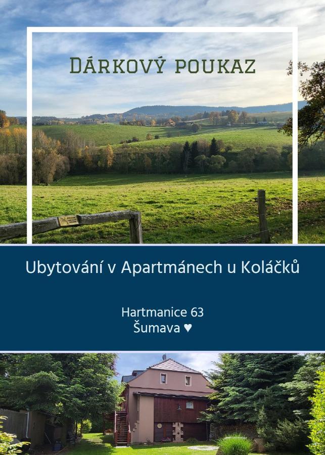 Apartmany U Kolacku Hartmanice  Ngoại thất bức ảnh
